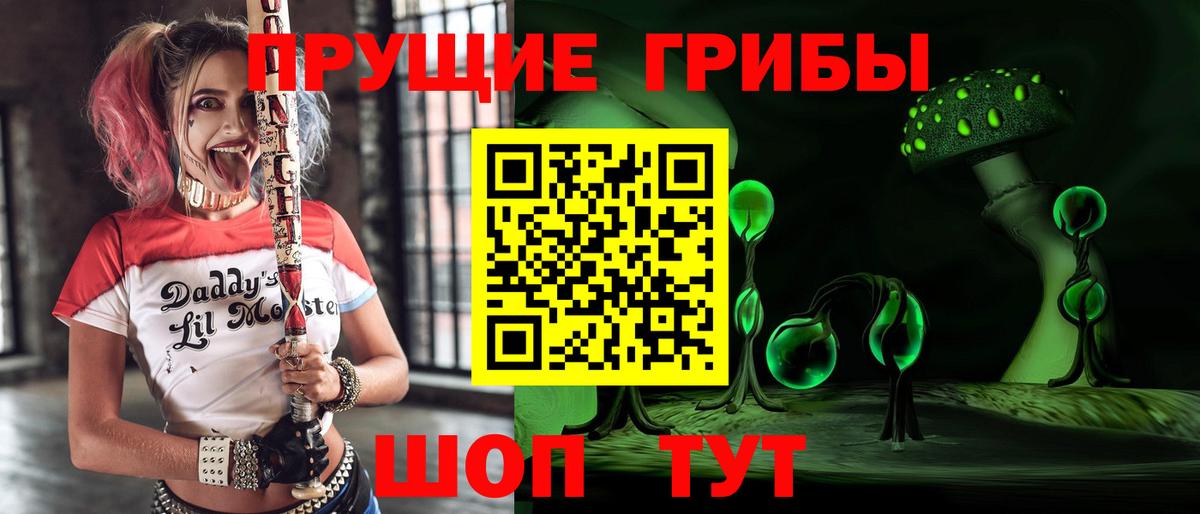 Долгопрудный  Галлюциногенные грибы прущие грибы  Вход с VPN 
